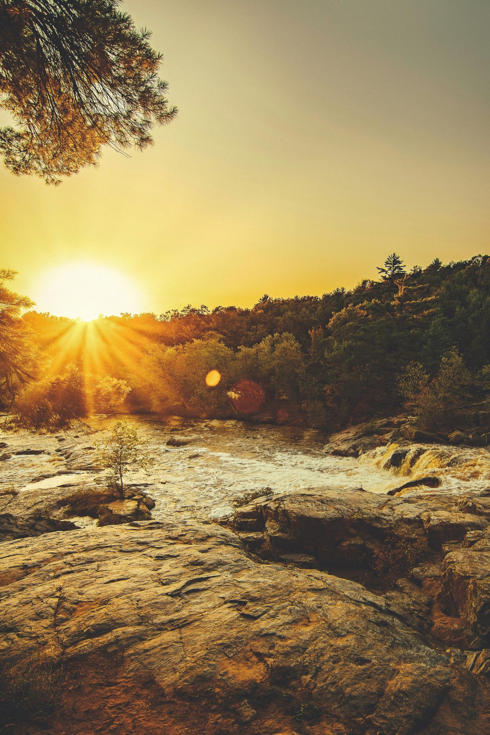 Stunning sunset over a rocky river surrounded by lush greenery and sunbeams creating a serene landscape.